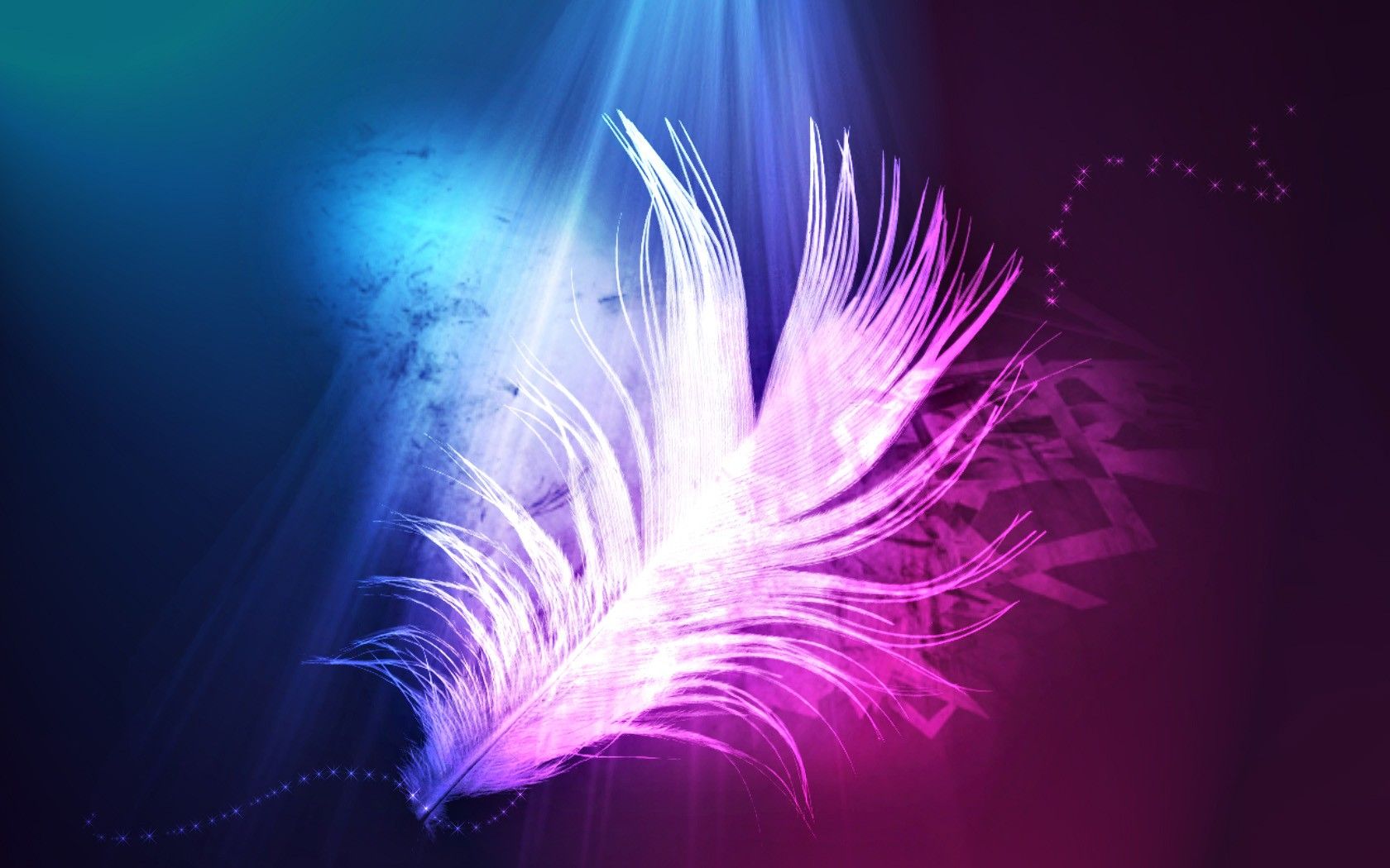 Purple Feathers Wallpapers