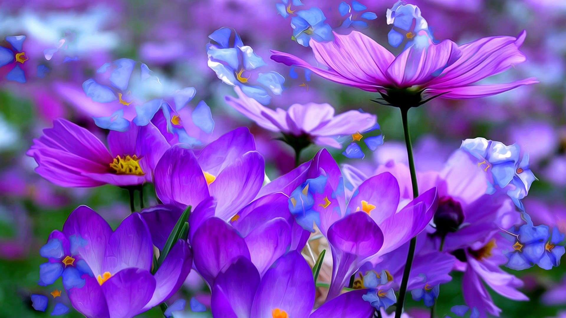 Purple Flower Desktop Wallpapers