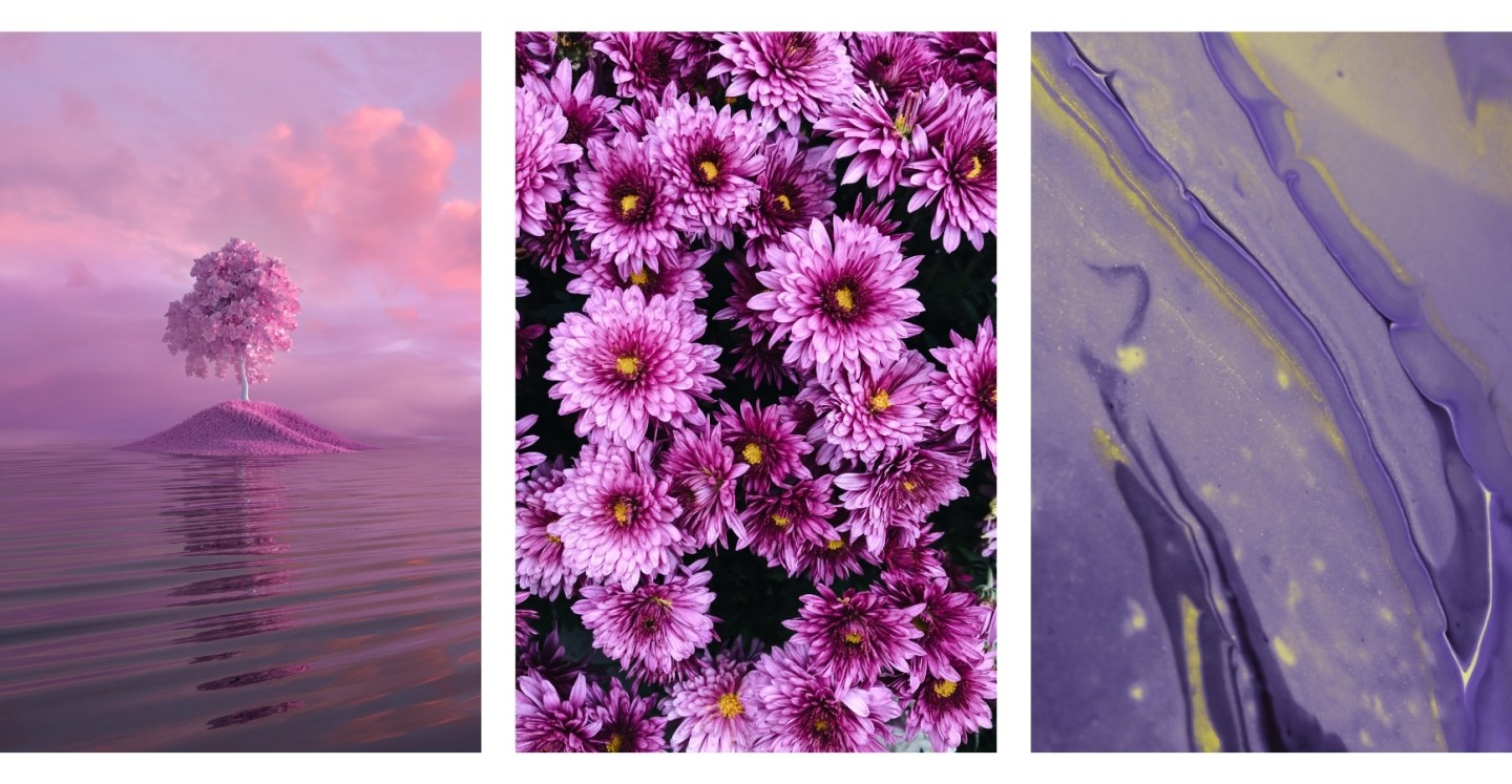 Purple Flowers Aesthetic Wallpapers