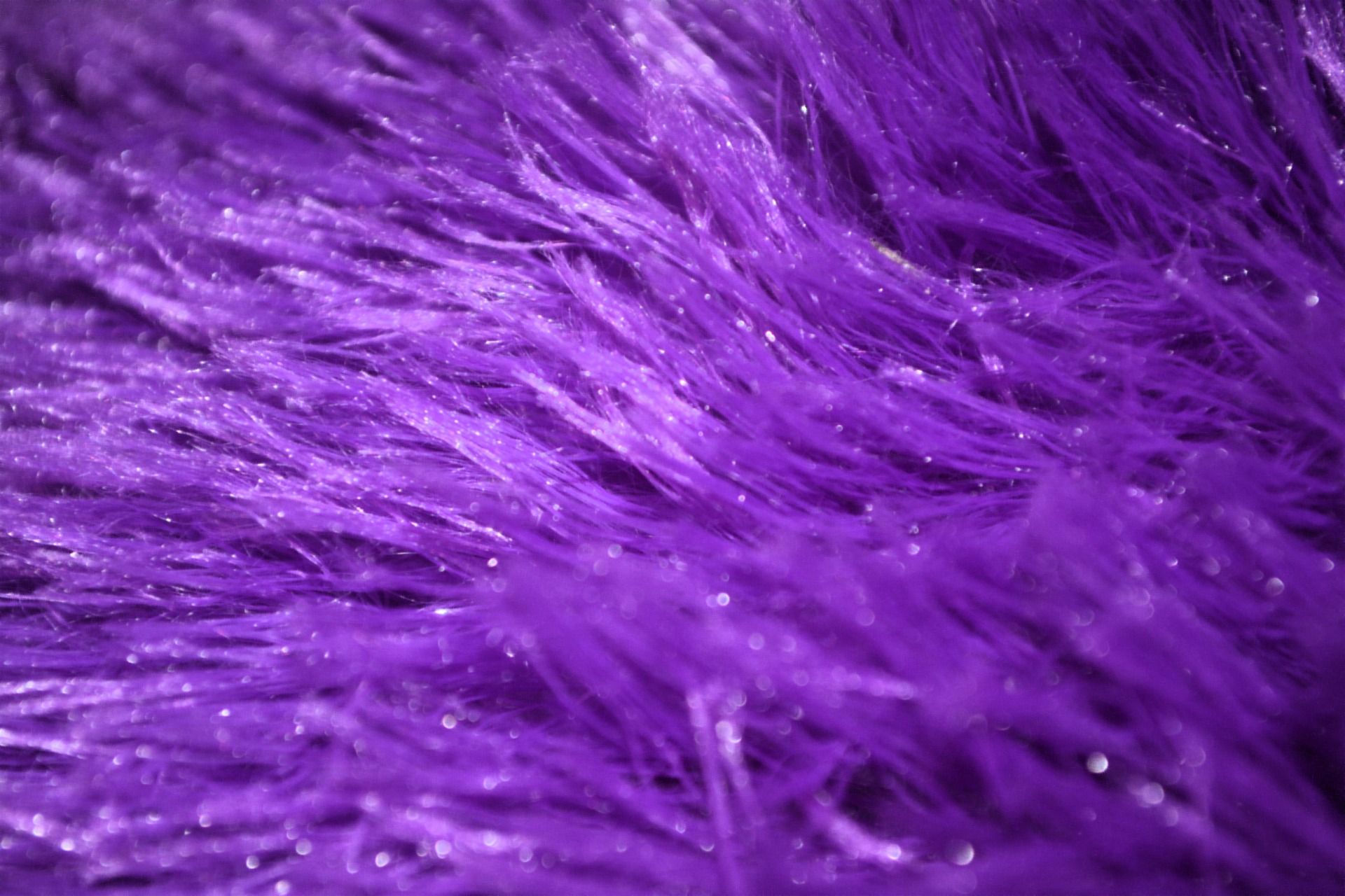 Purple Fur Wallpapers