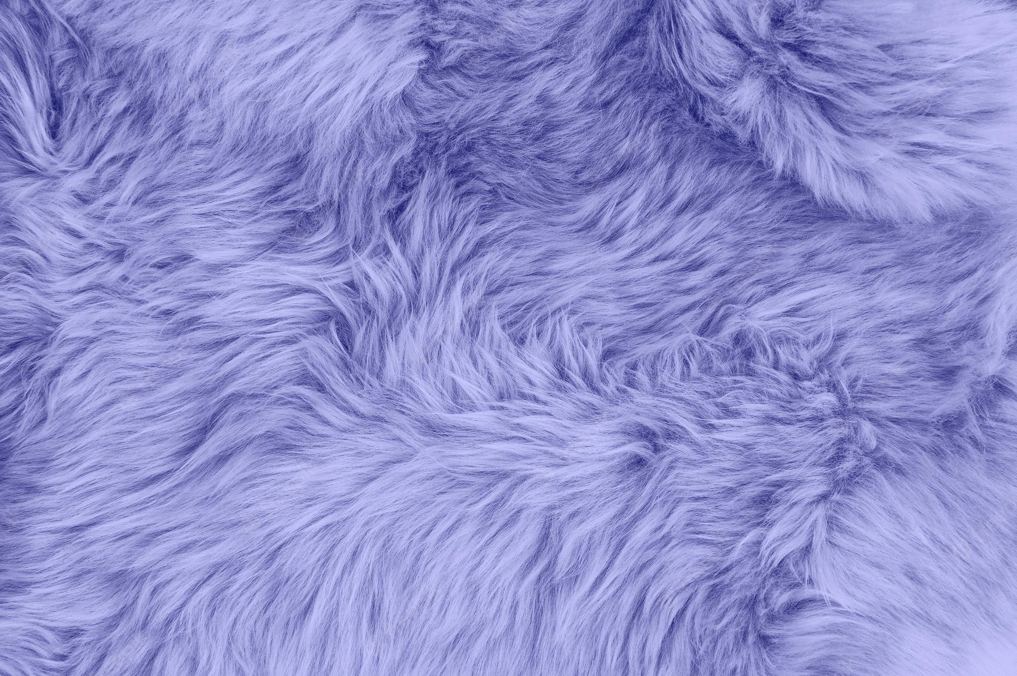 Purple Fur Wallpapers