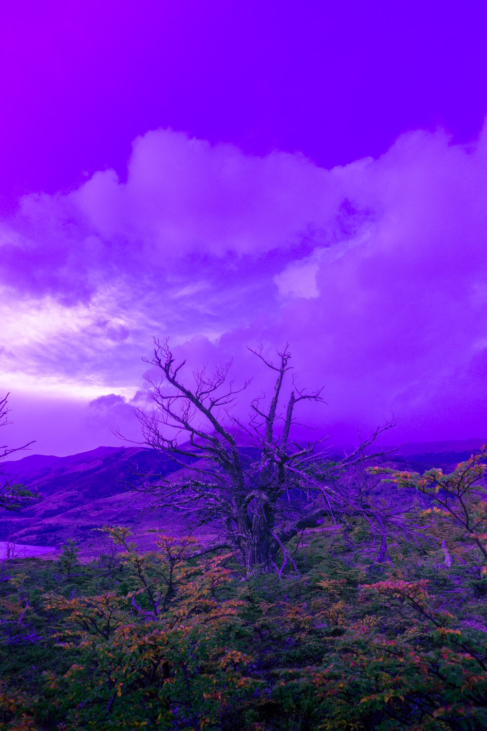 Purple Landscape Wallpapers