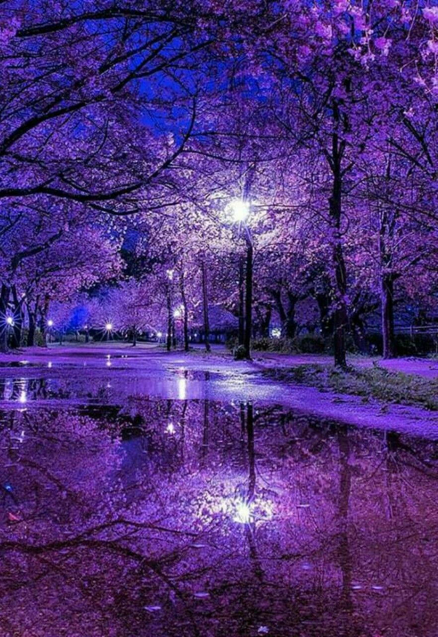 Purple Landscape Wallpapers