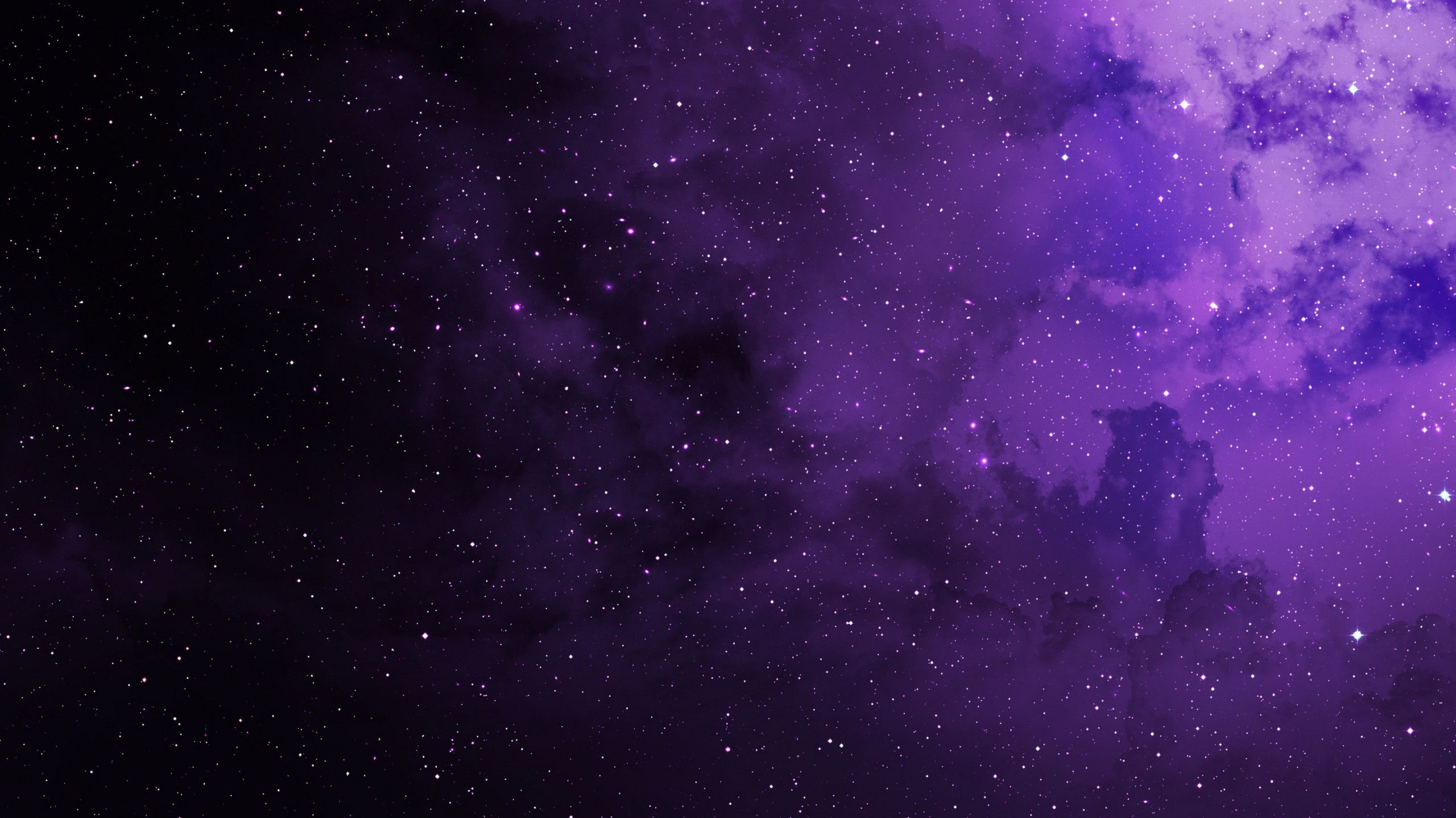 Purple Laptop Background