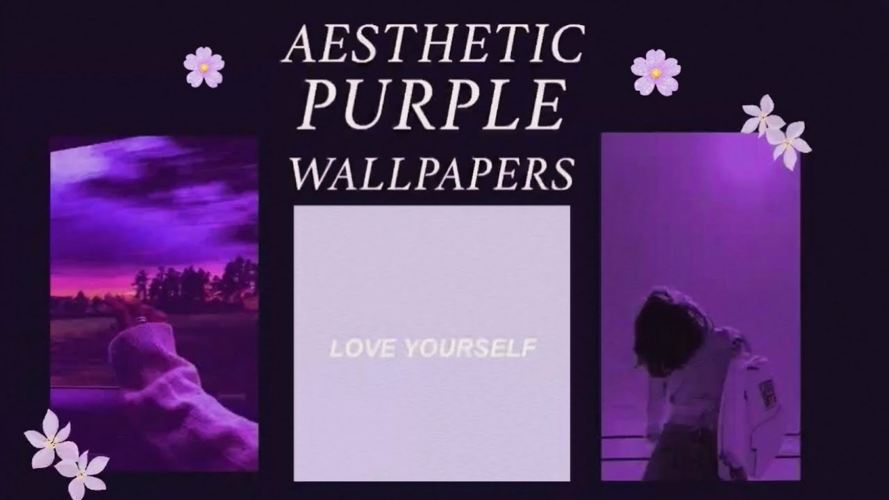 Purple Lavender Wallpapers