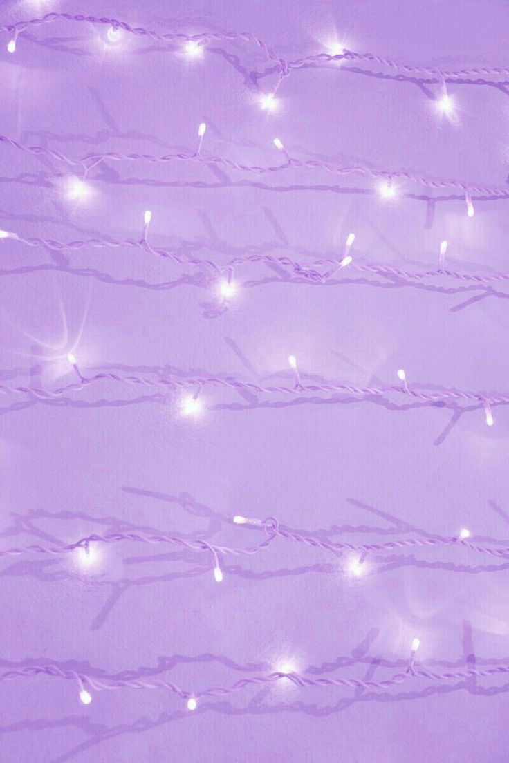 Purple Lavender Wallpapers