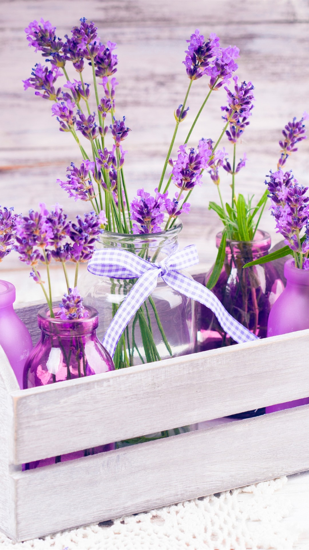 Purple Lavender Wallpapers