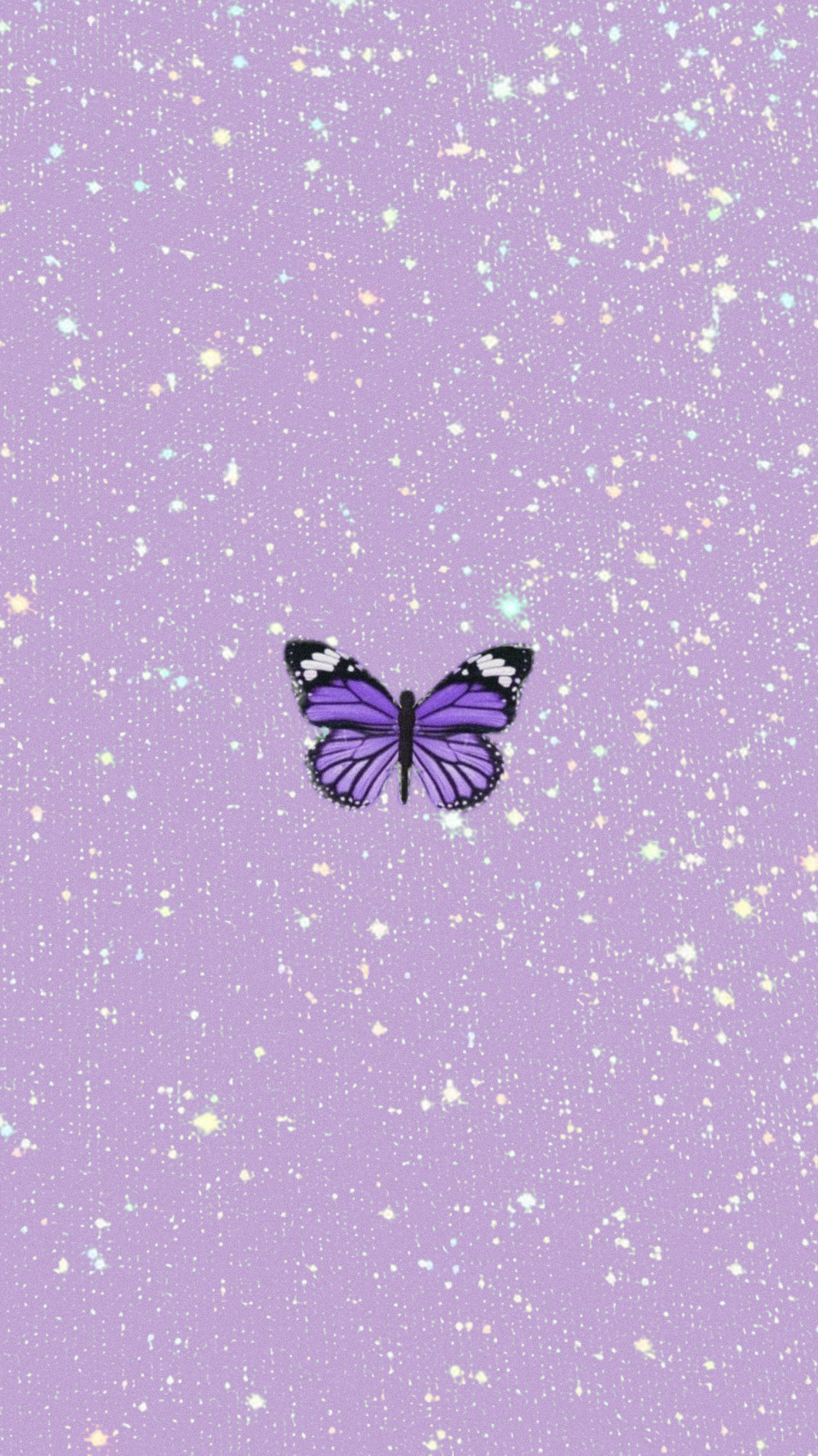 Purple Lavender Wallpapers