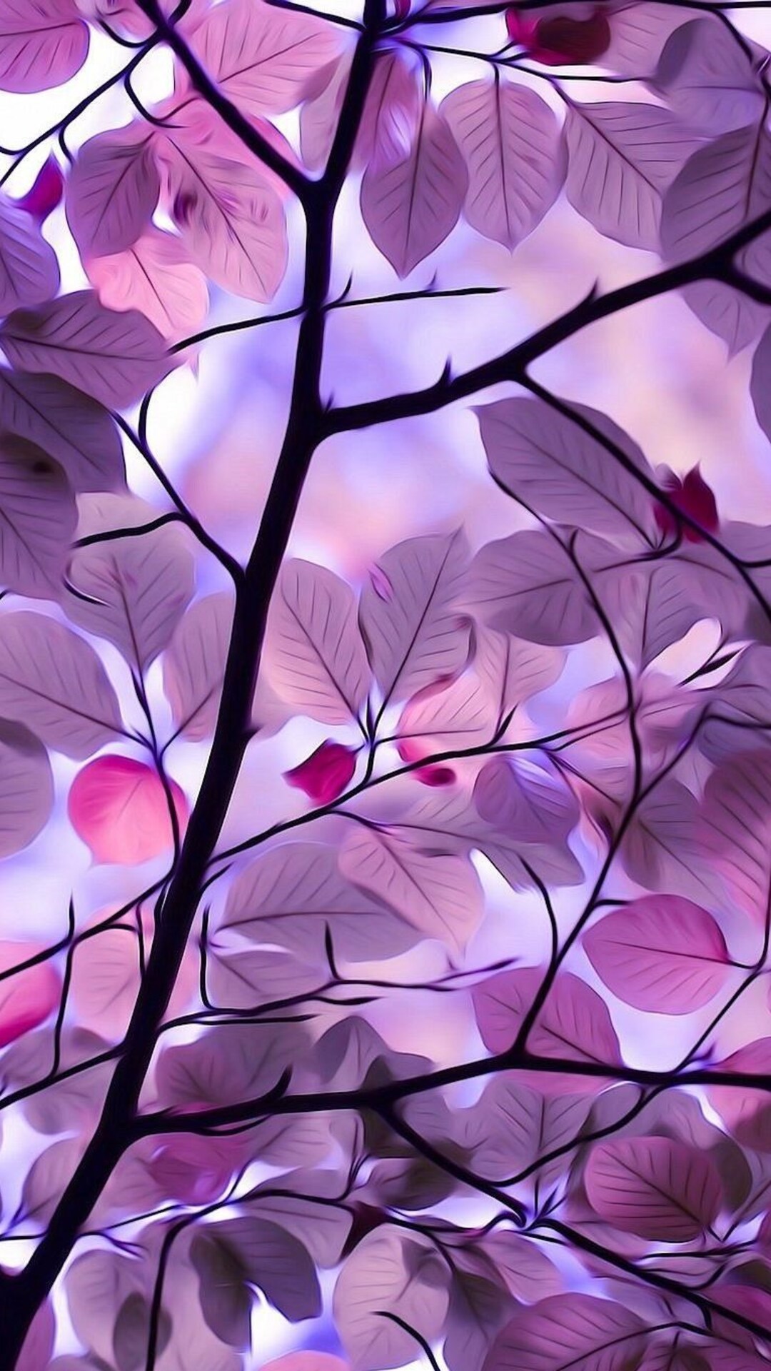 Purple Leaf Wallpapers