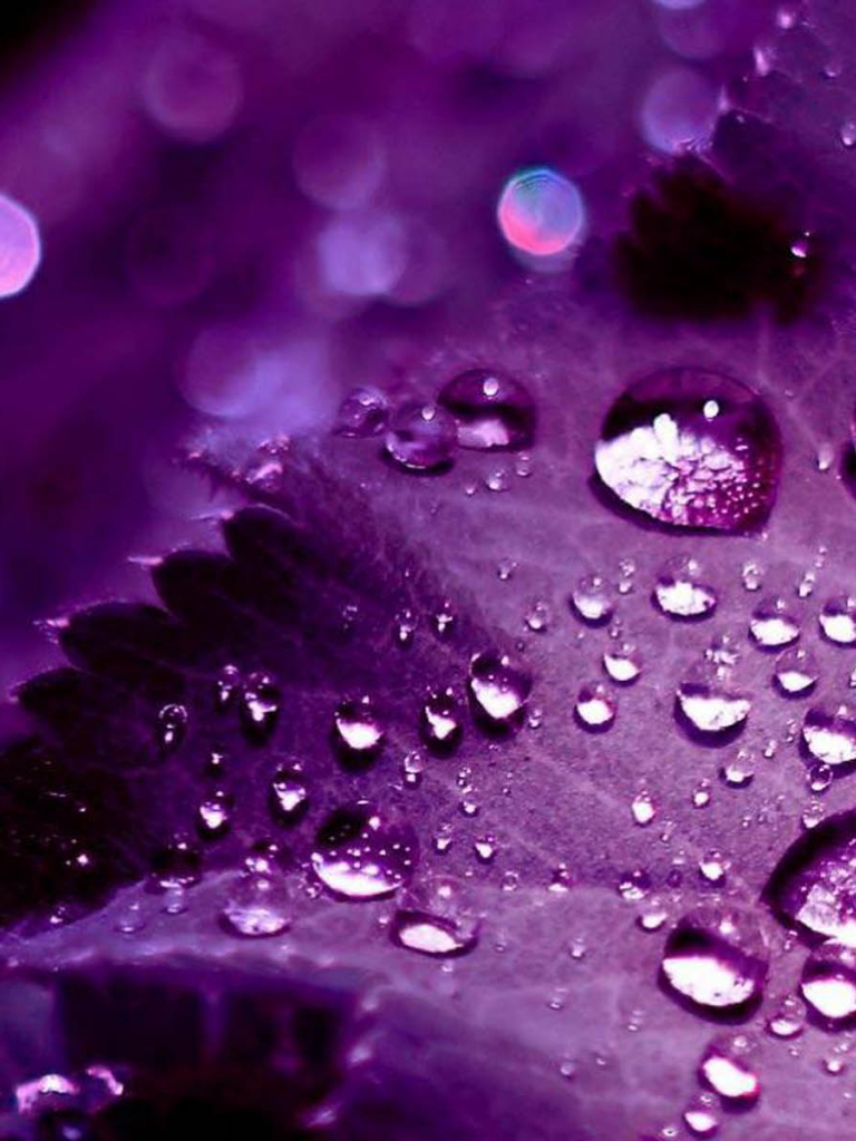 Purple Leaf Wallpapers