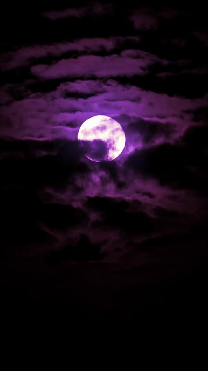 Purple Moonlight Download Wallpapers