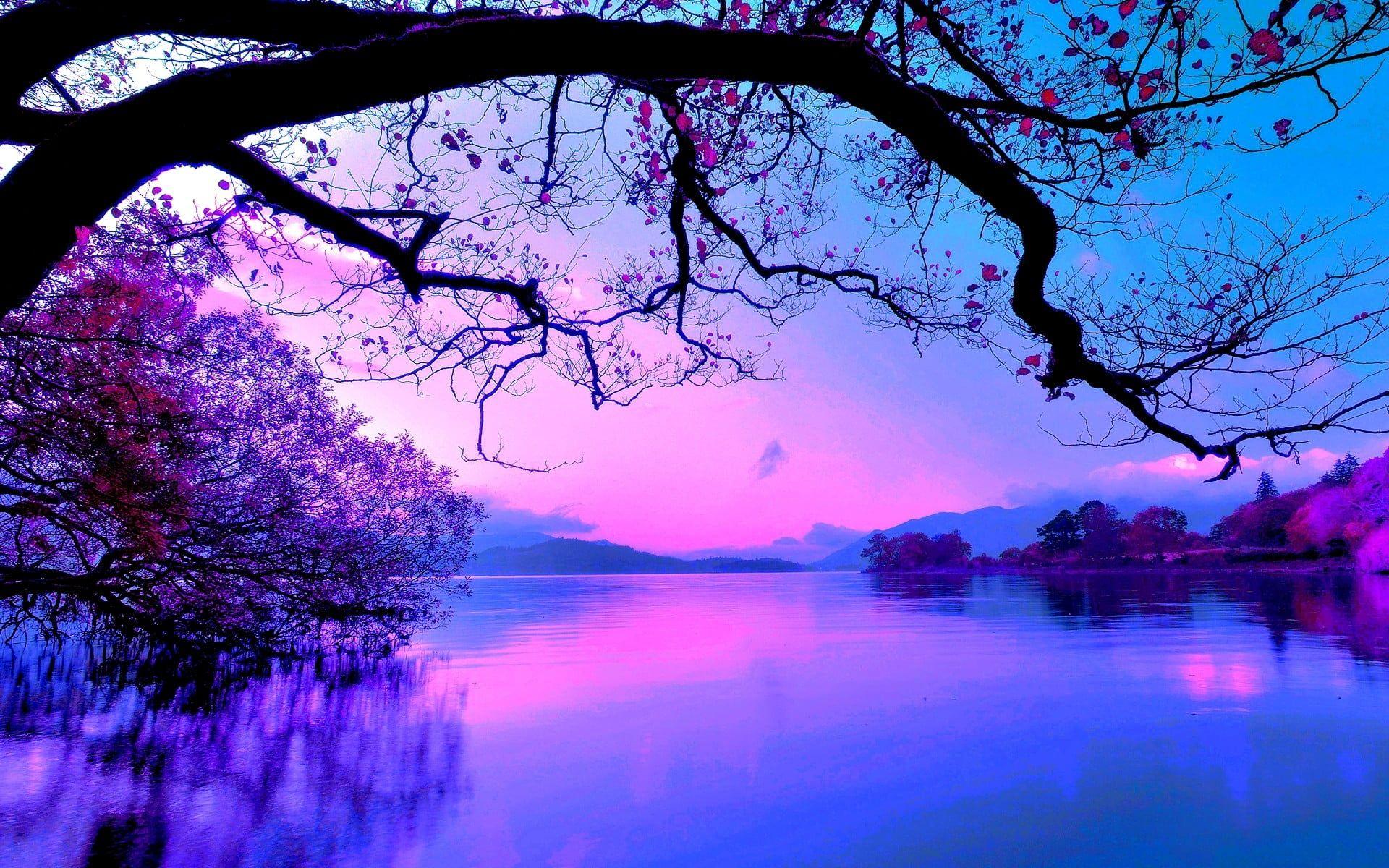 Purple Nature Wallpapers