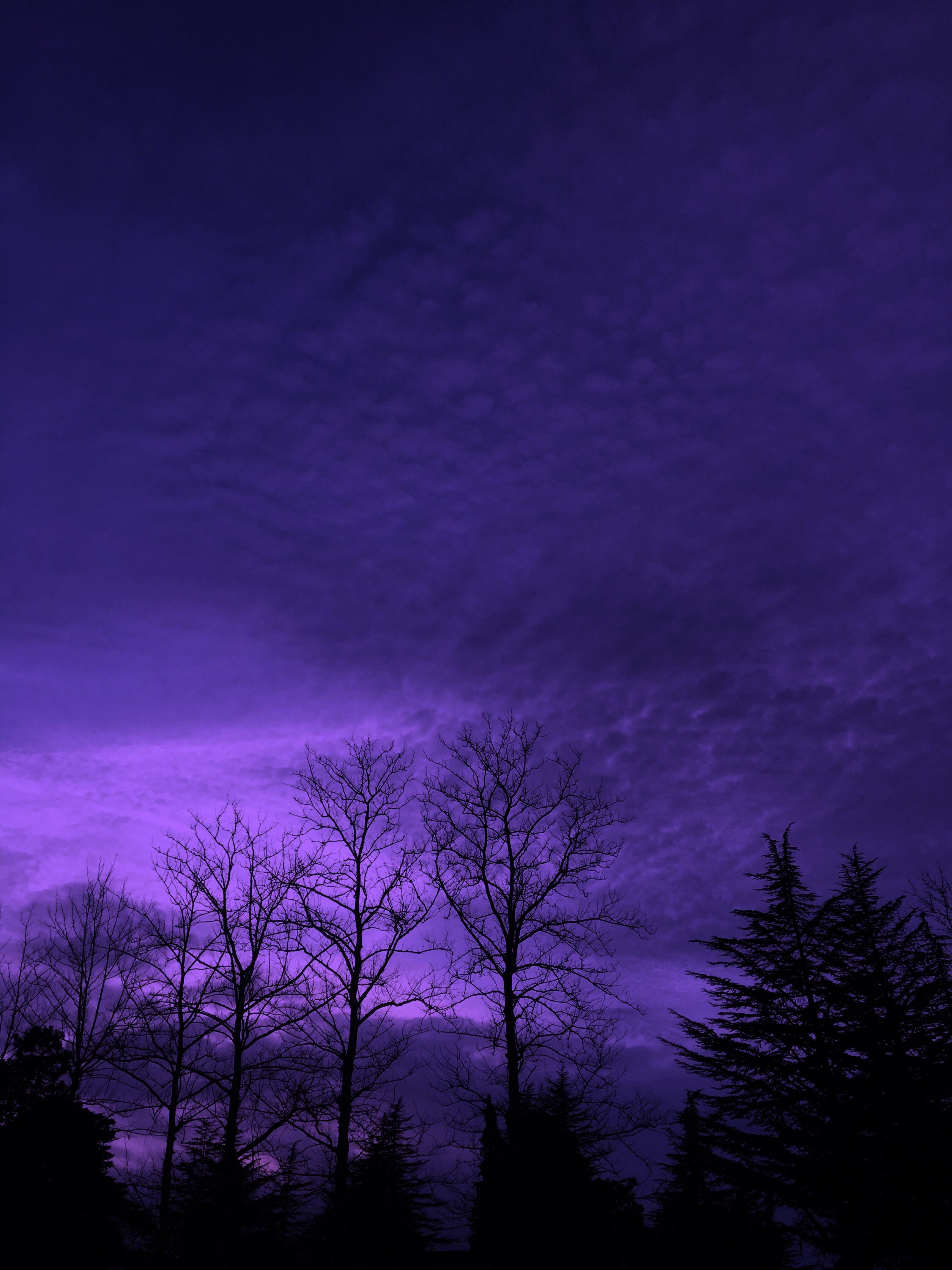 Purple Nature Wallpapers