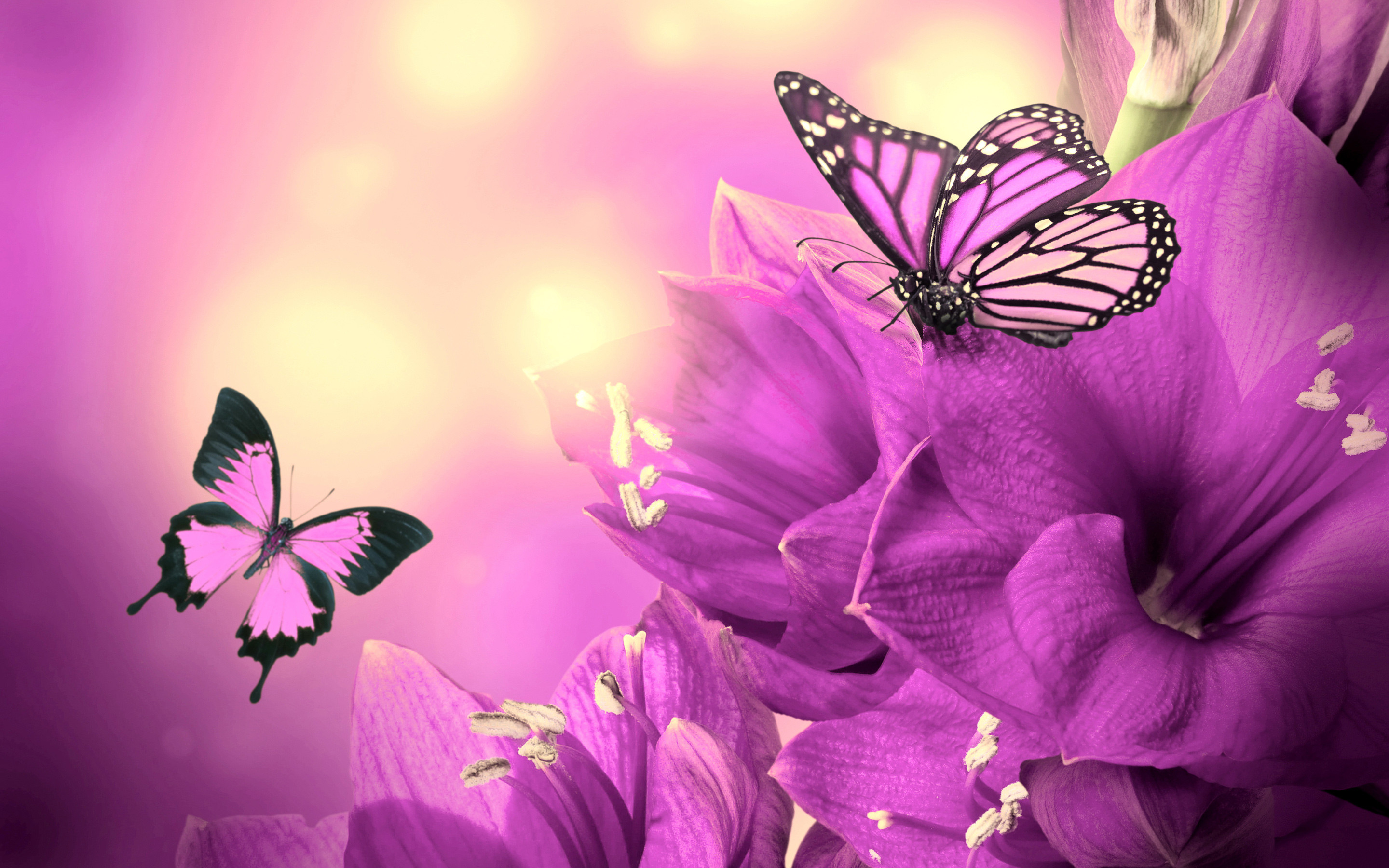 Purple Nature Wallpapers