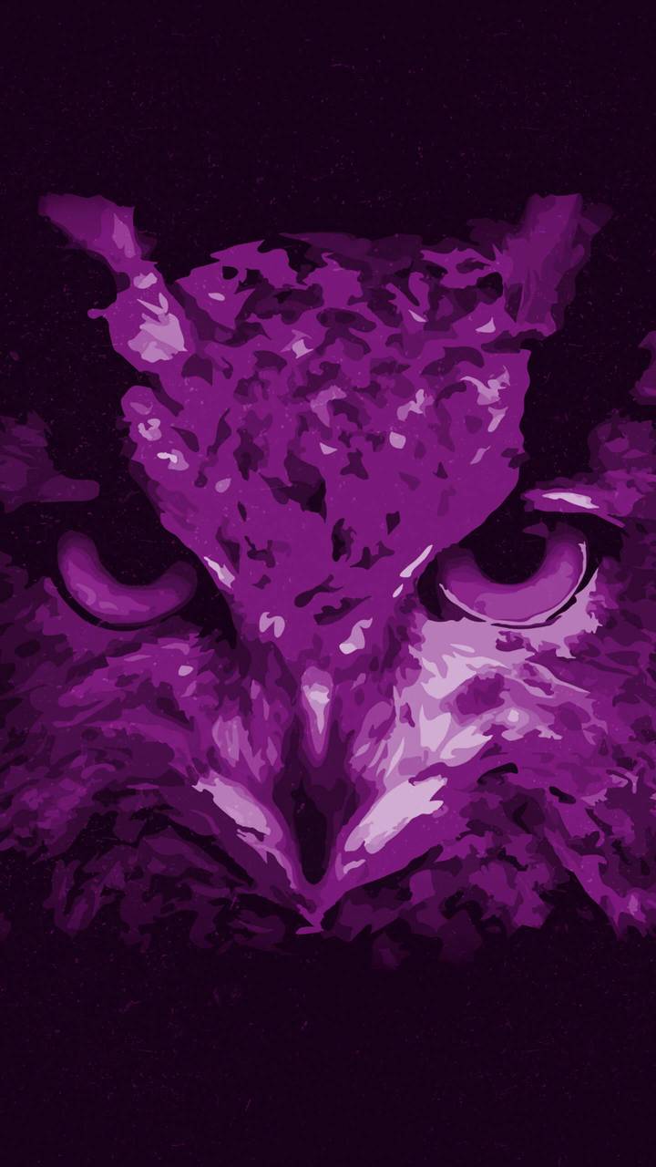 Purple Owl Wallpapers