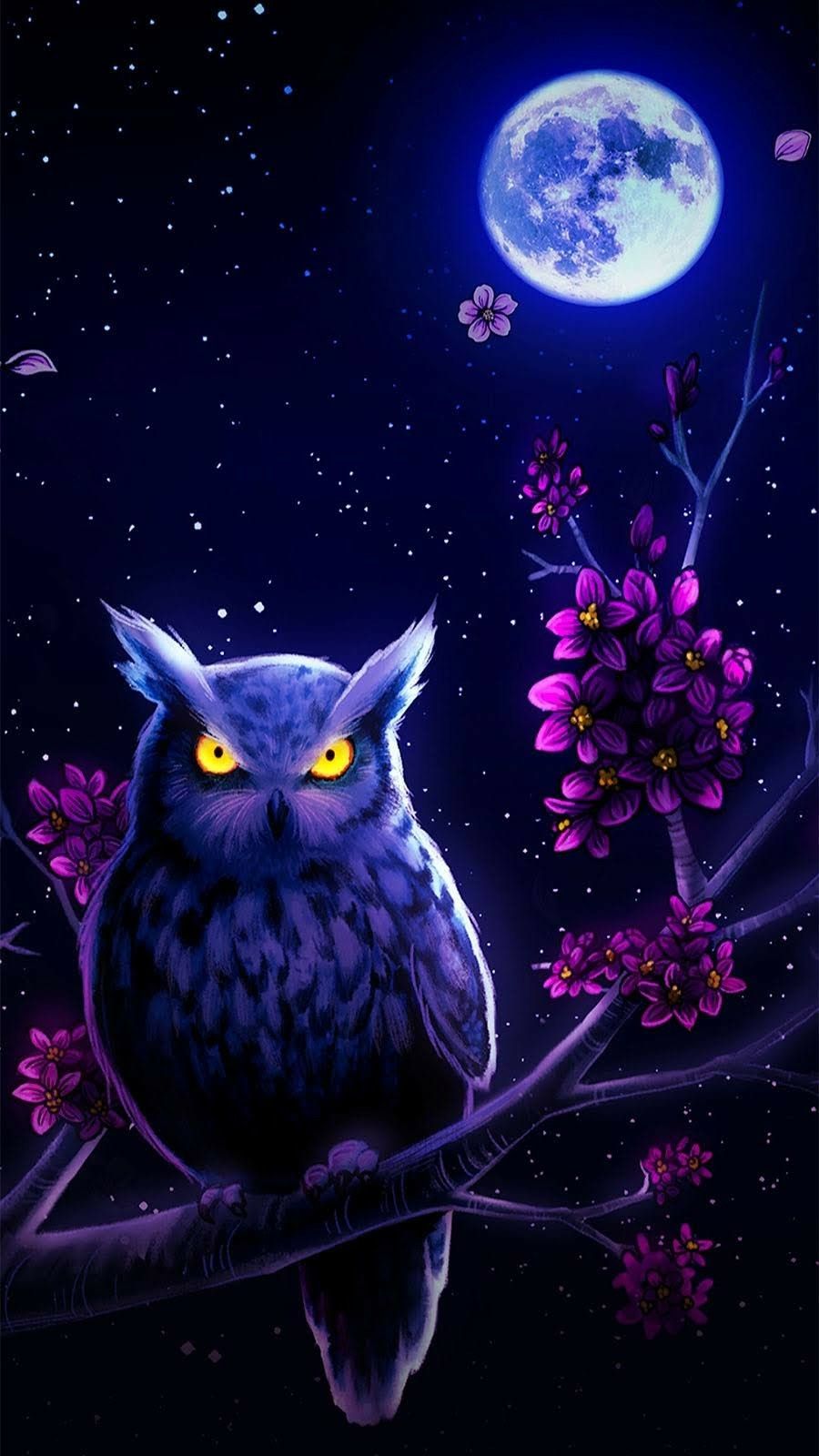 Purple Owl Wallpapers