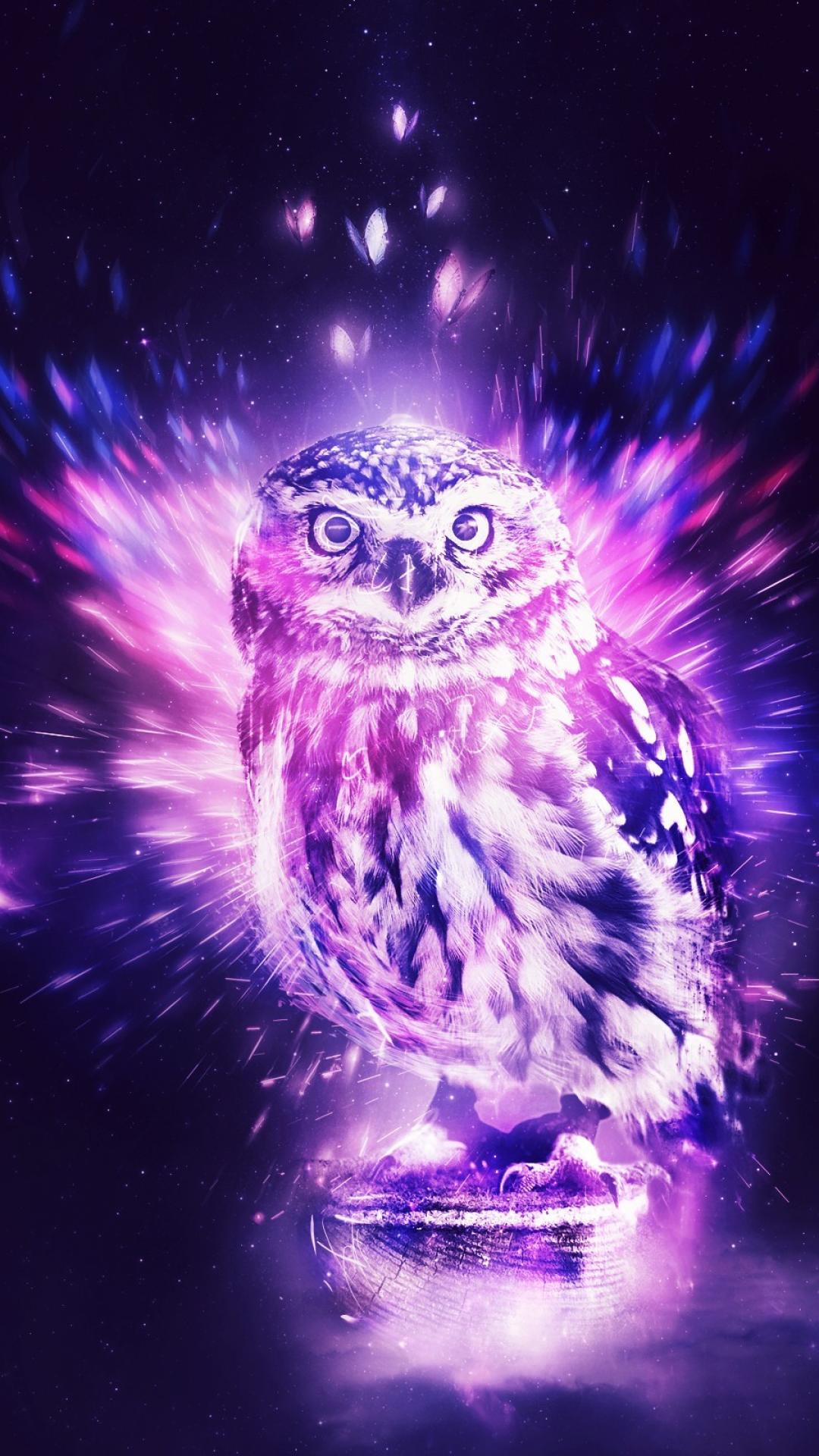 Purple Owl Wallpapers