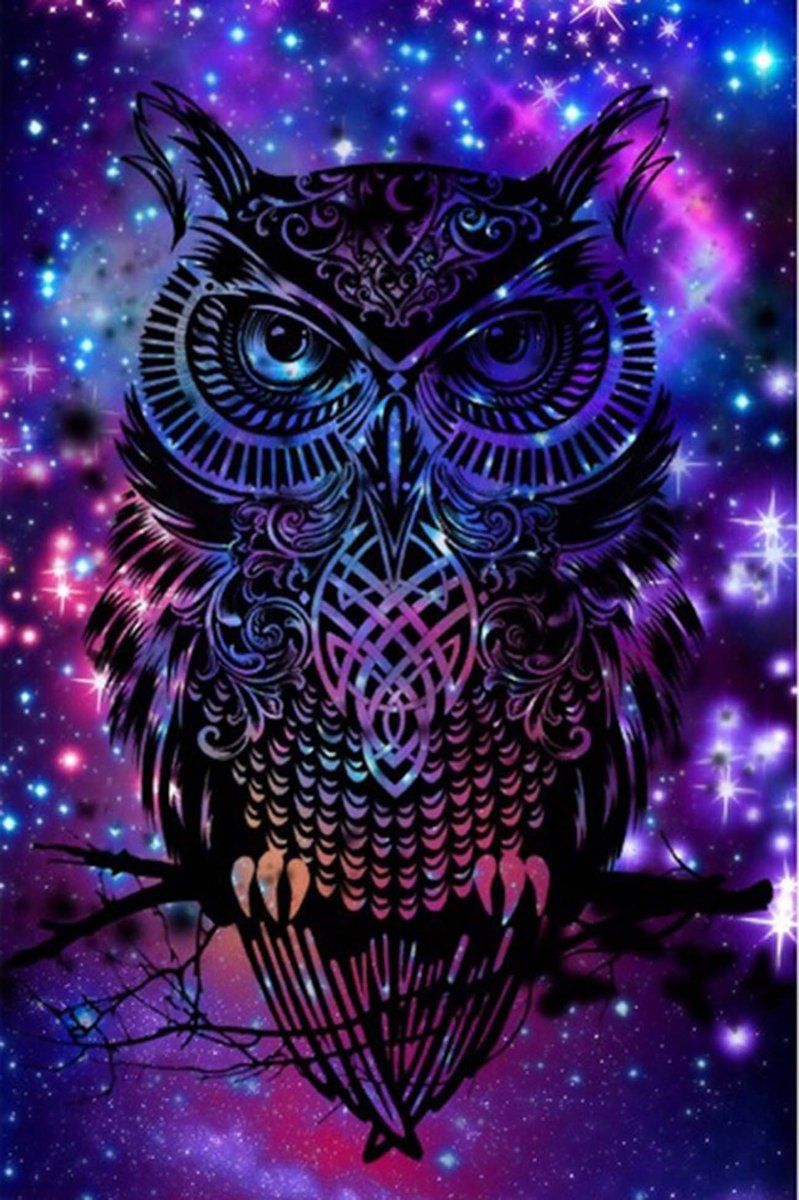 Purple Owl Wallpapers