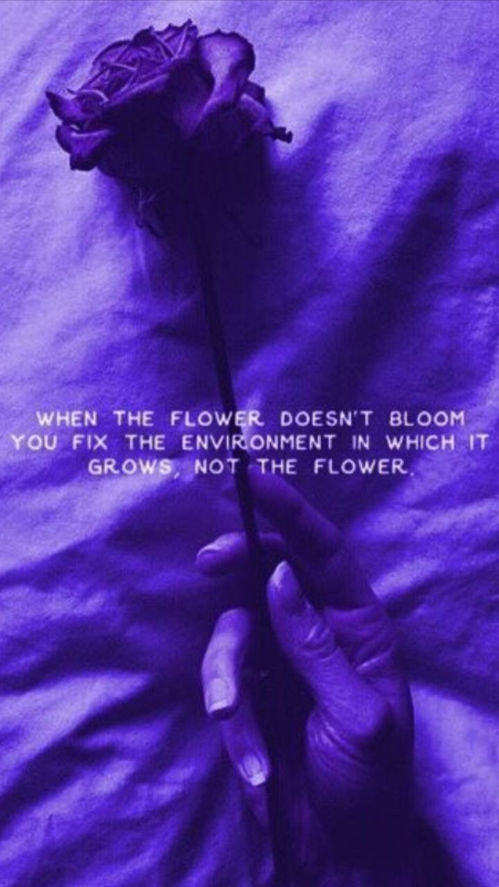 Purple Quotes Aesthetic Wallpapers