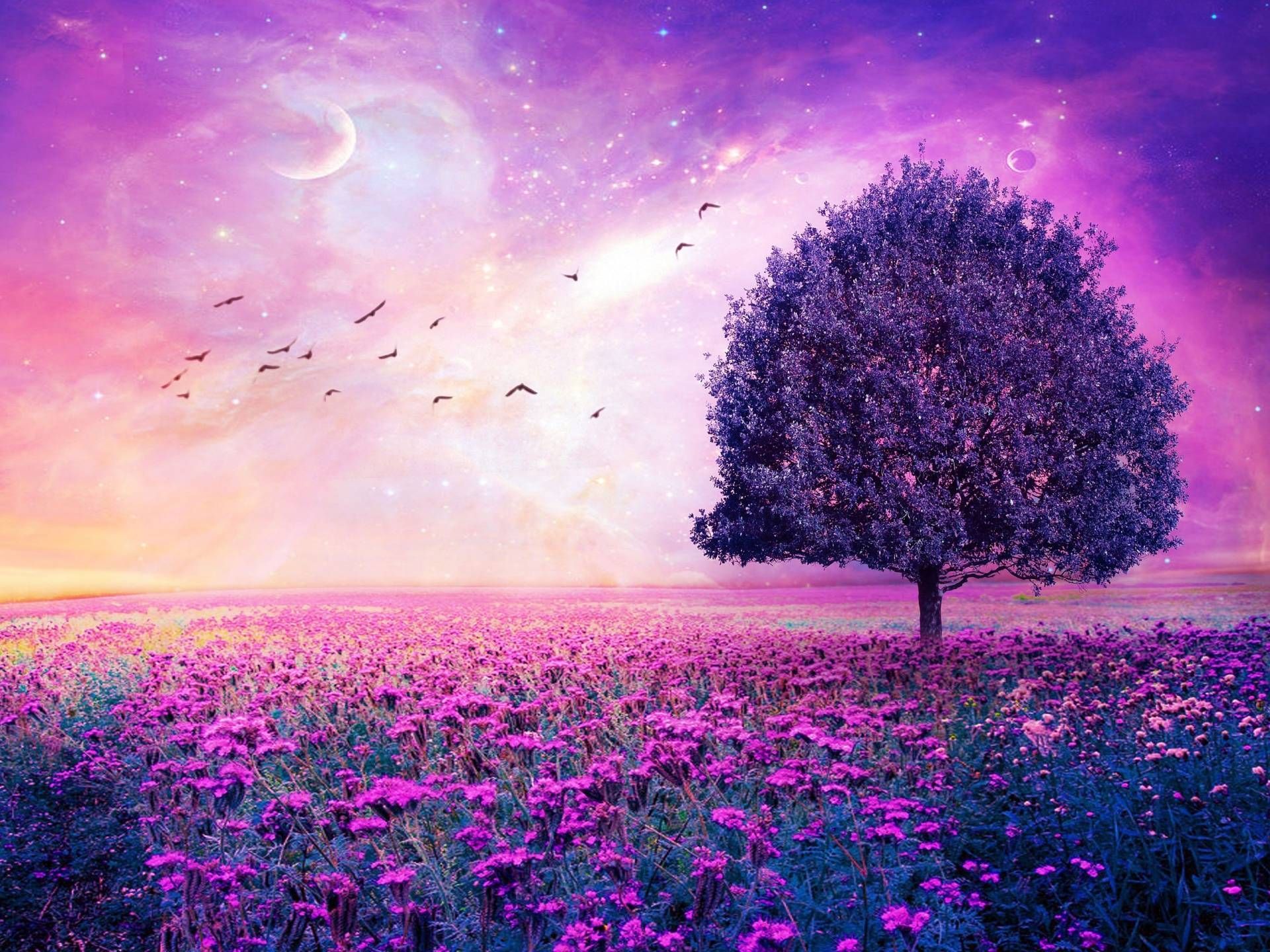 Purple Scenery Wallpapers