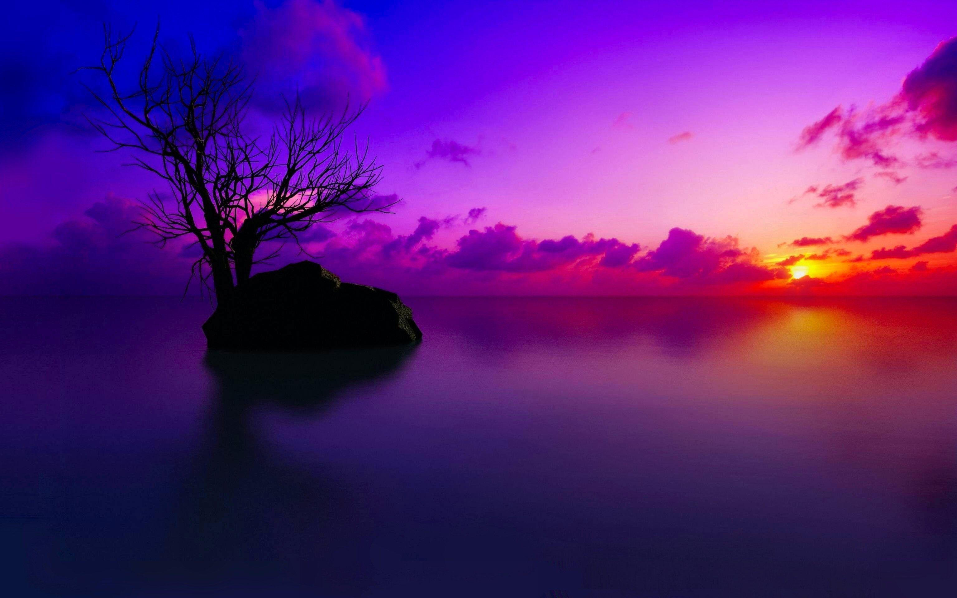 Purple Sky Wallpapers