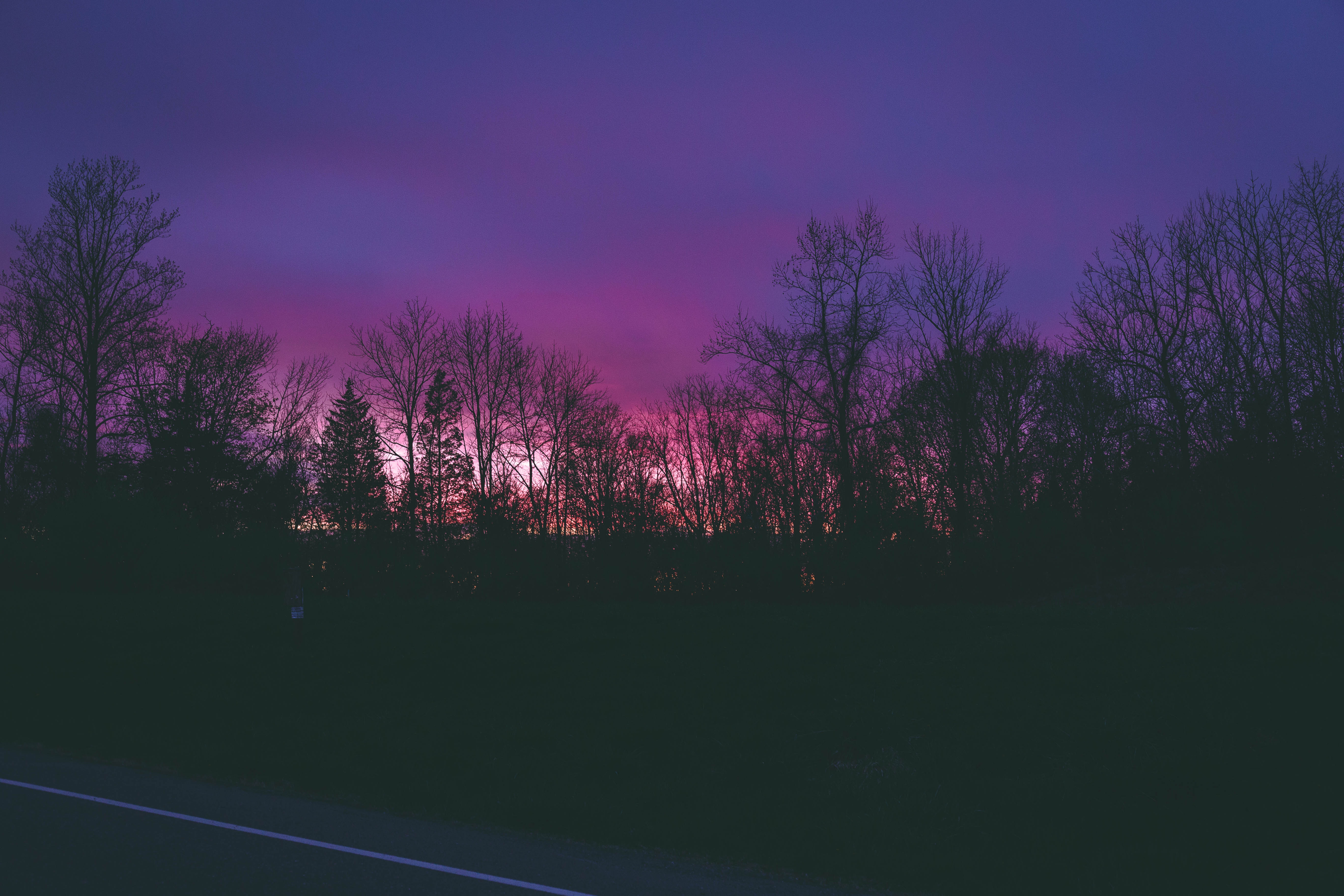 Purple Sky Wallpapers