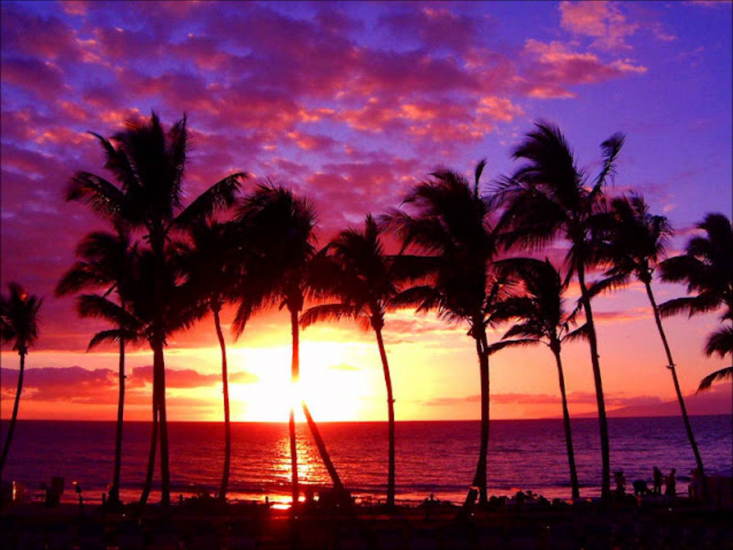 Purple Sunset Beach Wallpapers