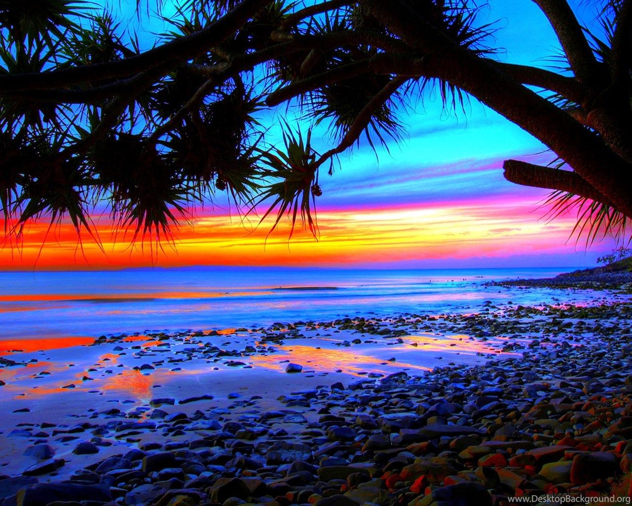 Purple Sunset Beach Wallpapers