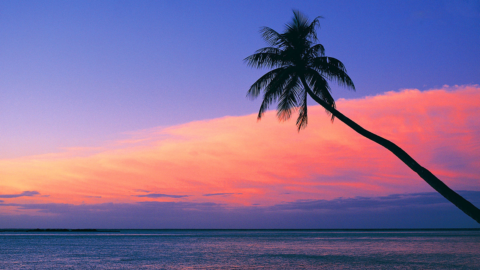 Purple Sunset Beach Wallpapers