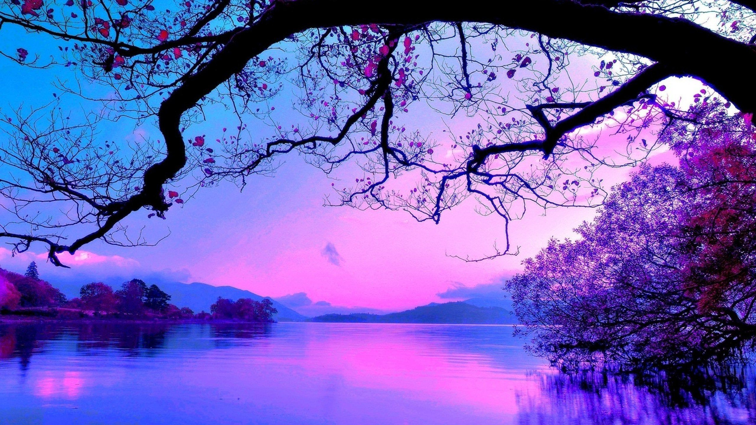 Purple Sunset Wallpapers