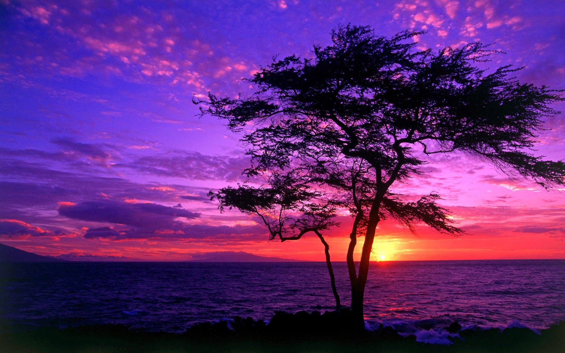 Purple Sunset Wallpapers