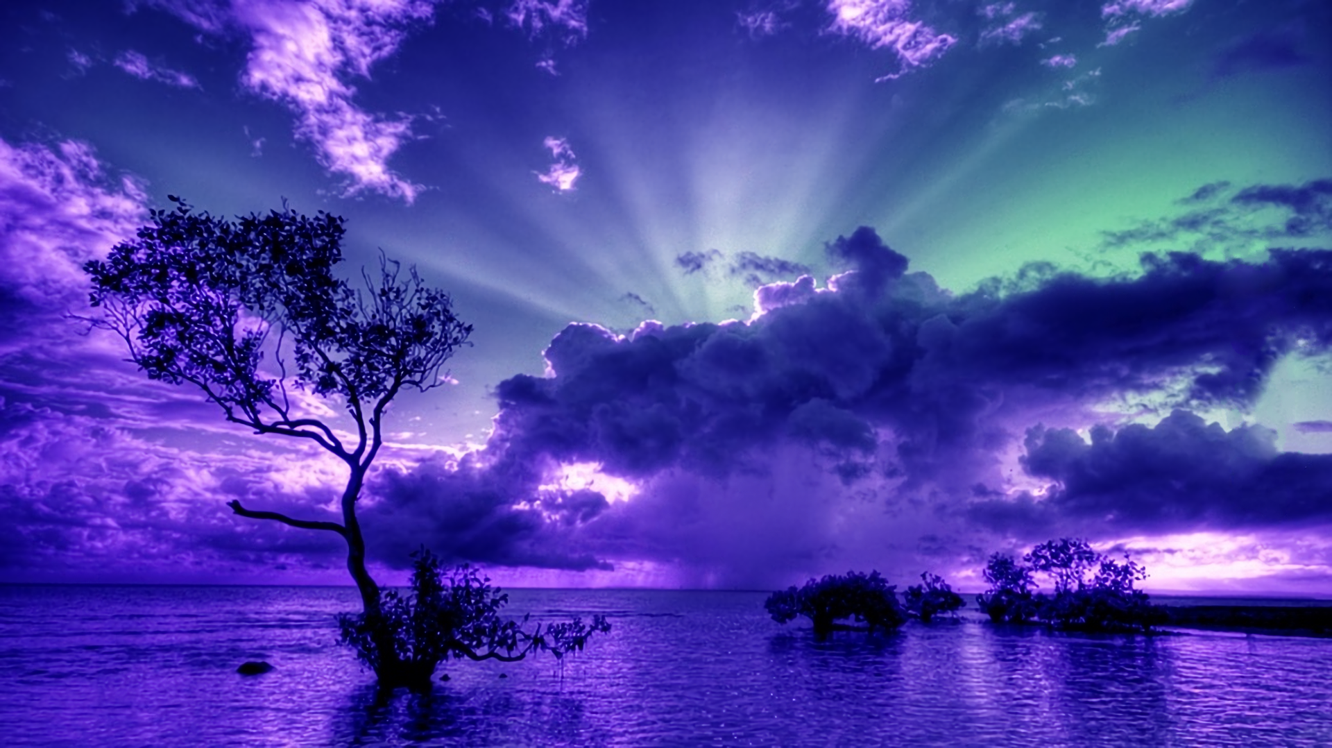 Purple Sunset Wallpapers