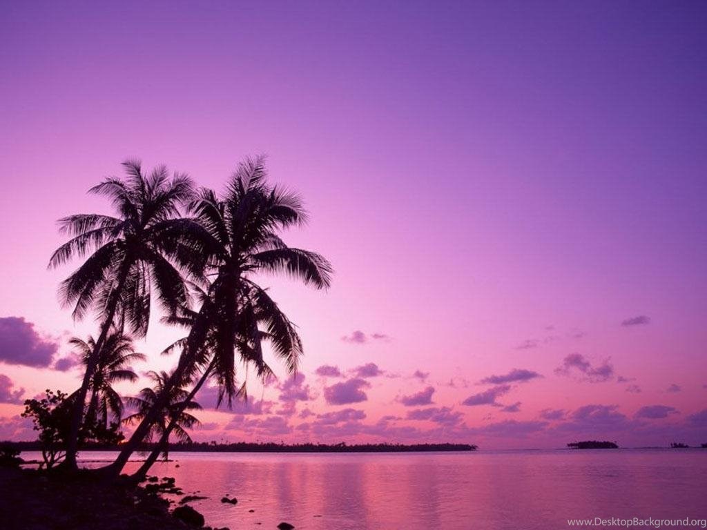 Purple Sunset Wallpapers