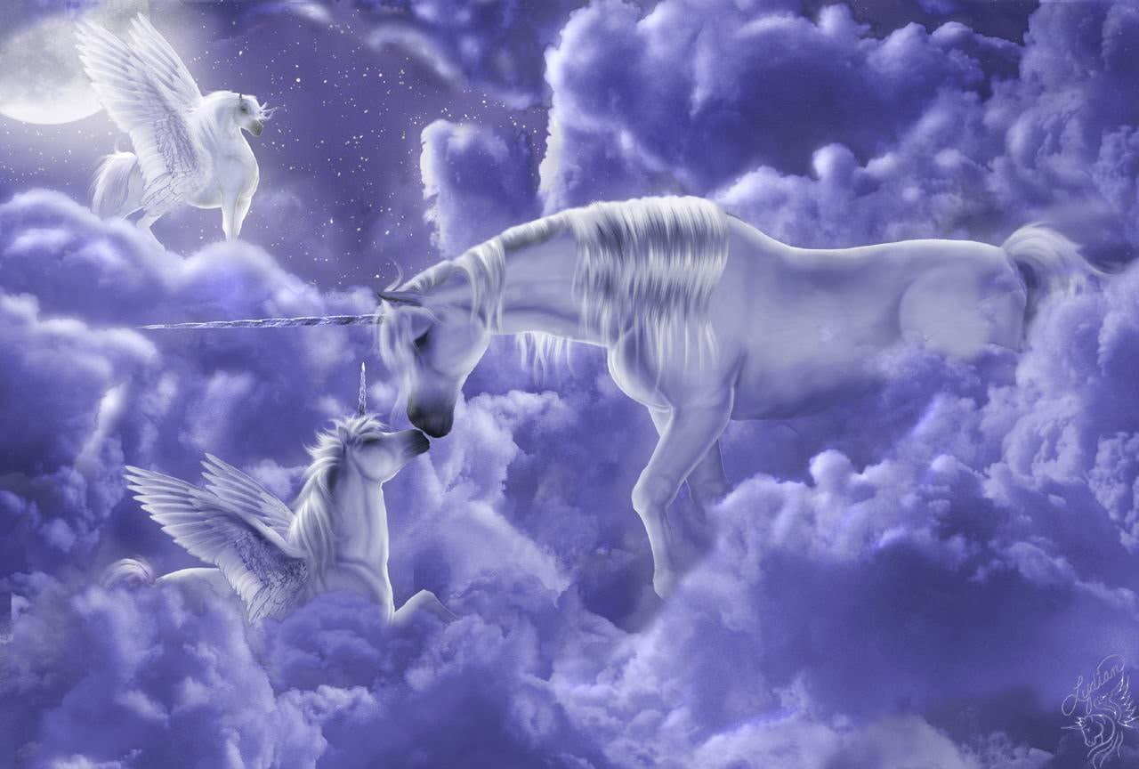 Purple Unicorn Wallpapers