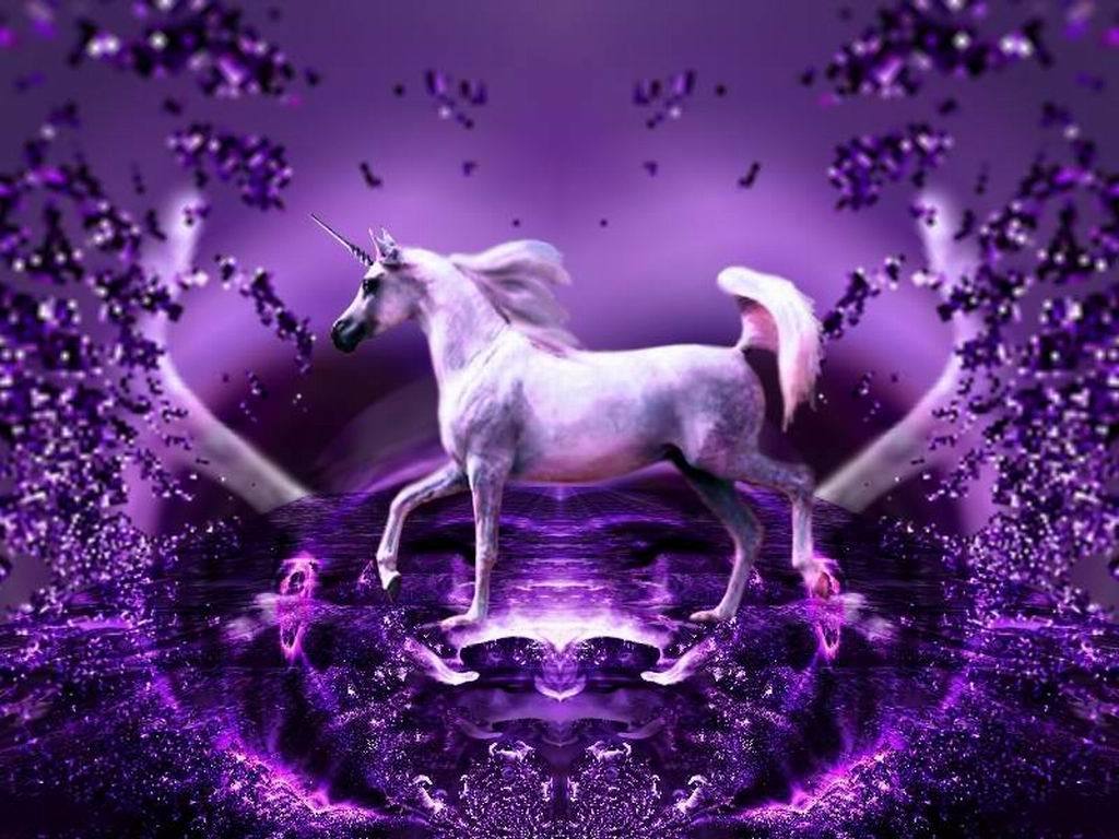 Purple Unicorn Wallpapers