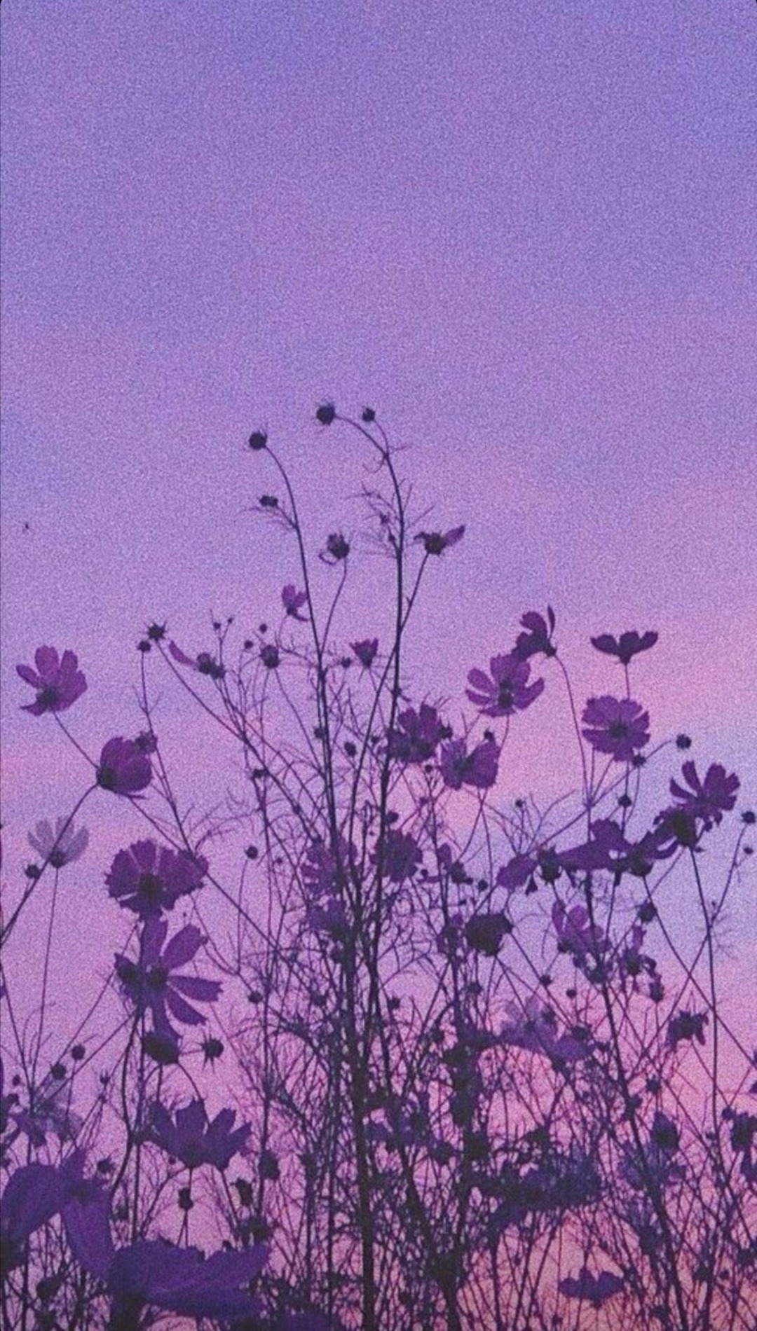 Purple Vintage Aesthetic Wallpapers