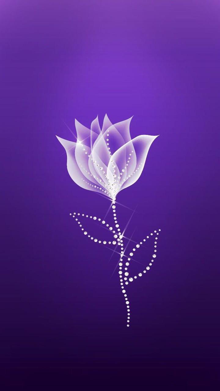 Purple Wallpapers