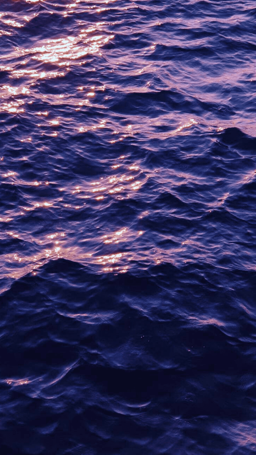 Purple Water Wallpapers