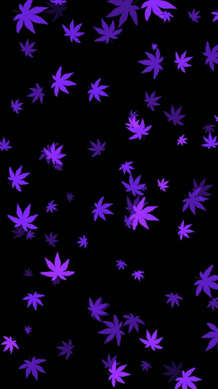 Purple Weed Background