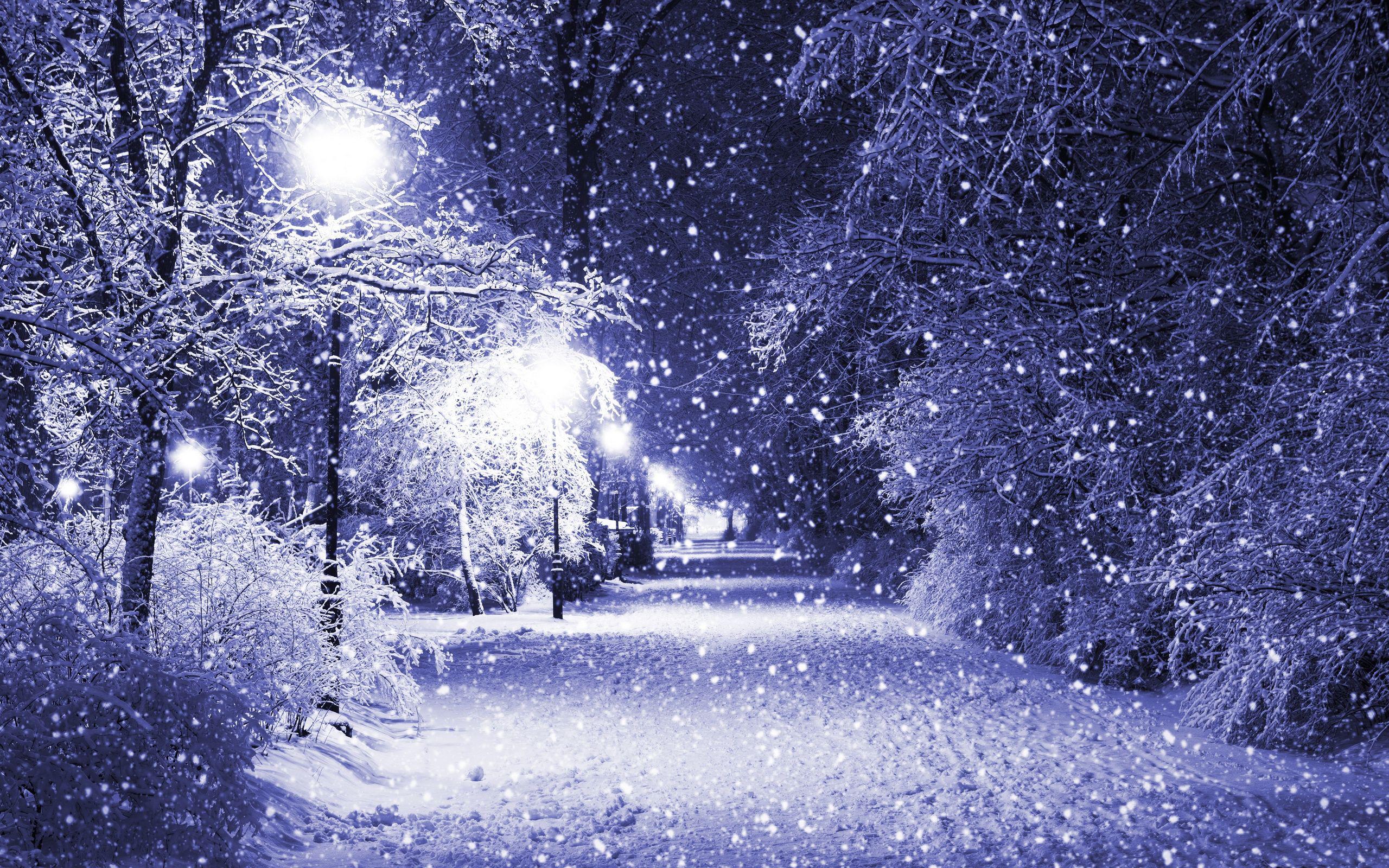 Purple Winter Background