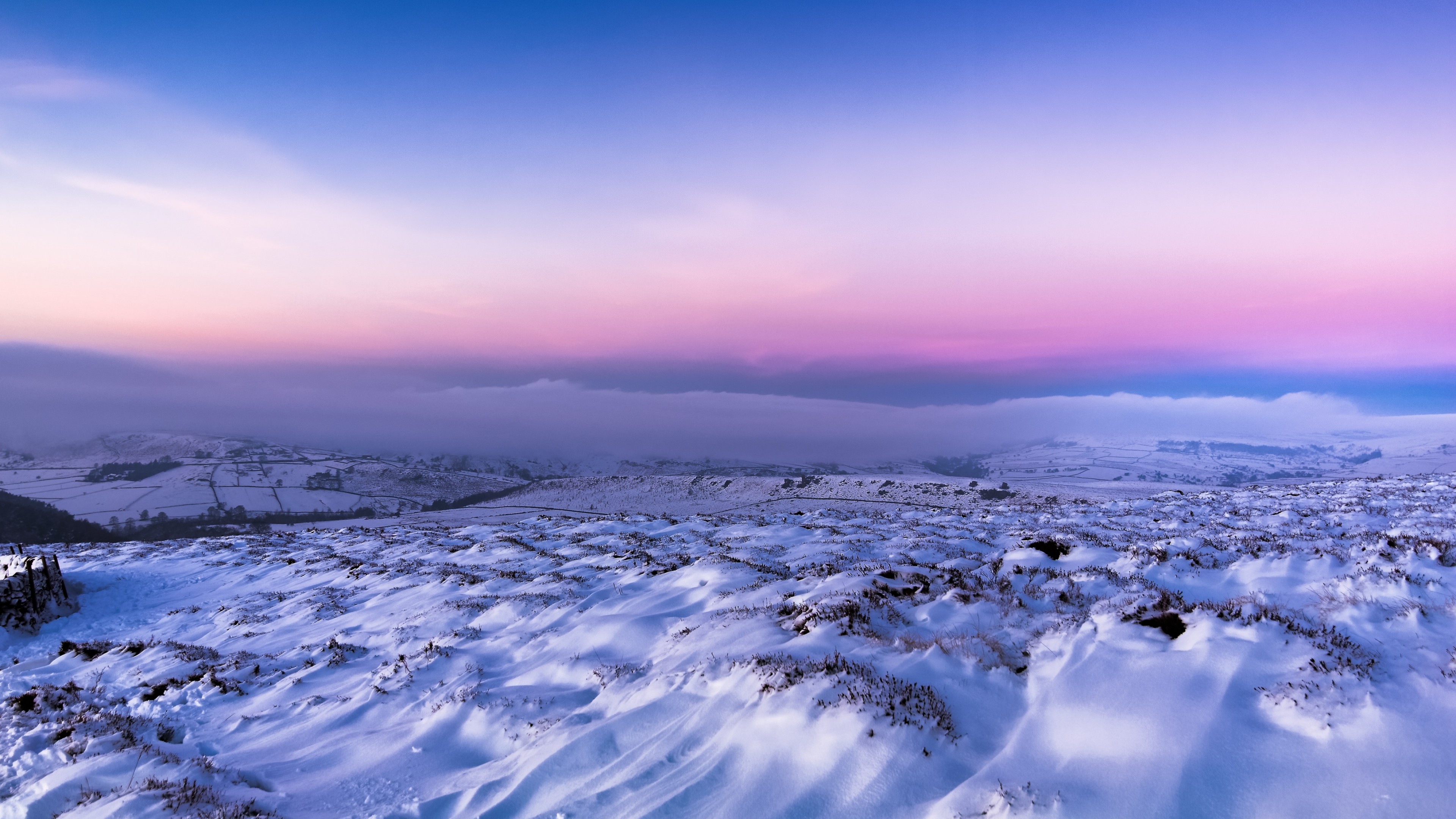 Purple Winter Background