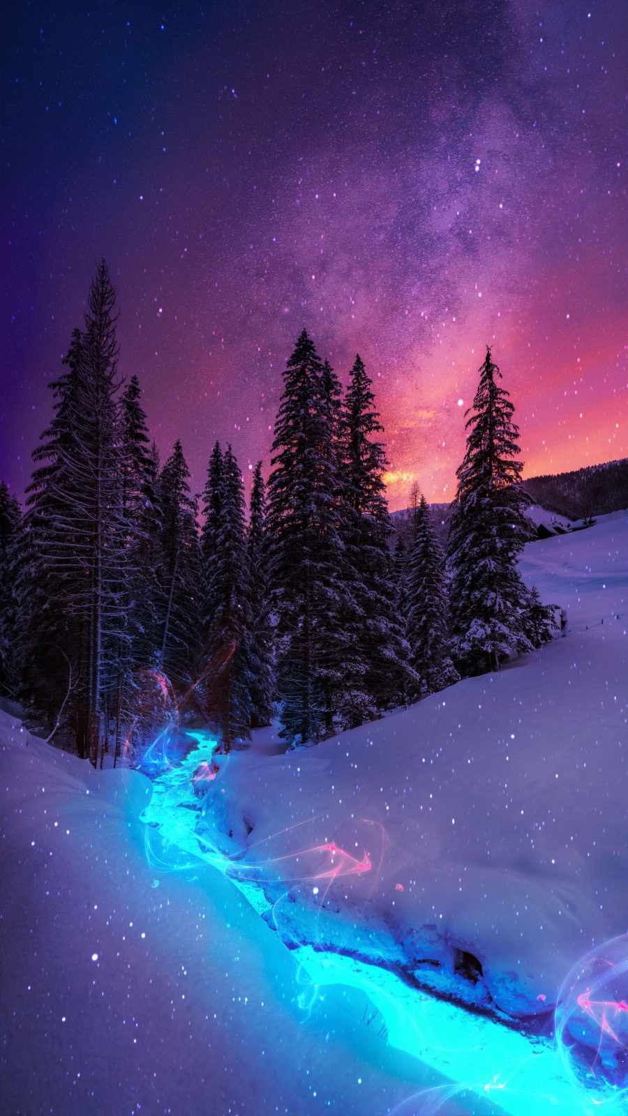 Purple Winter Forest Wallpapers