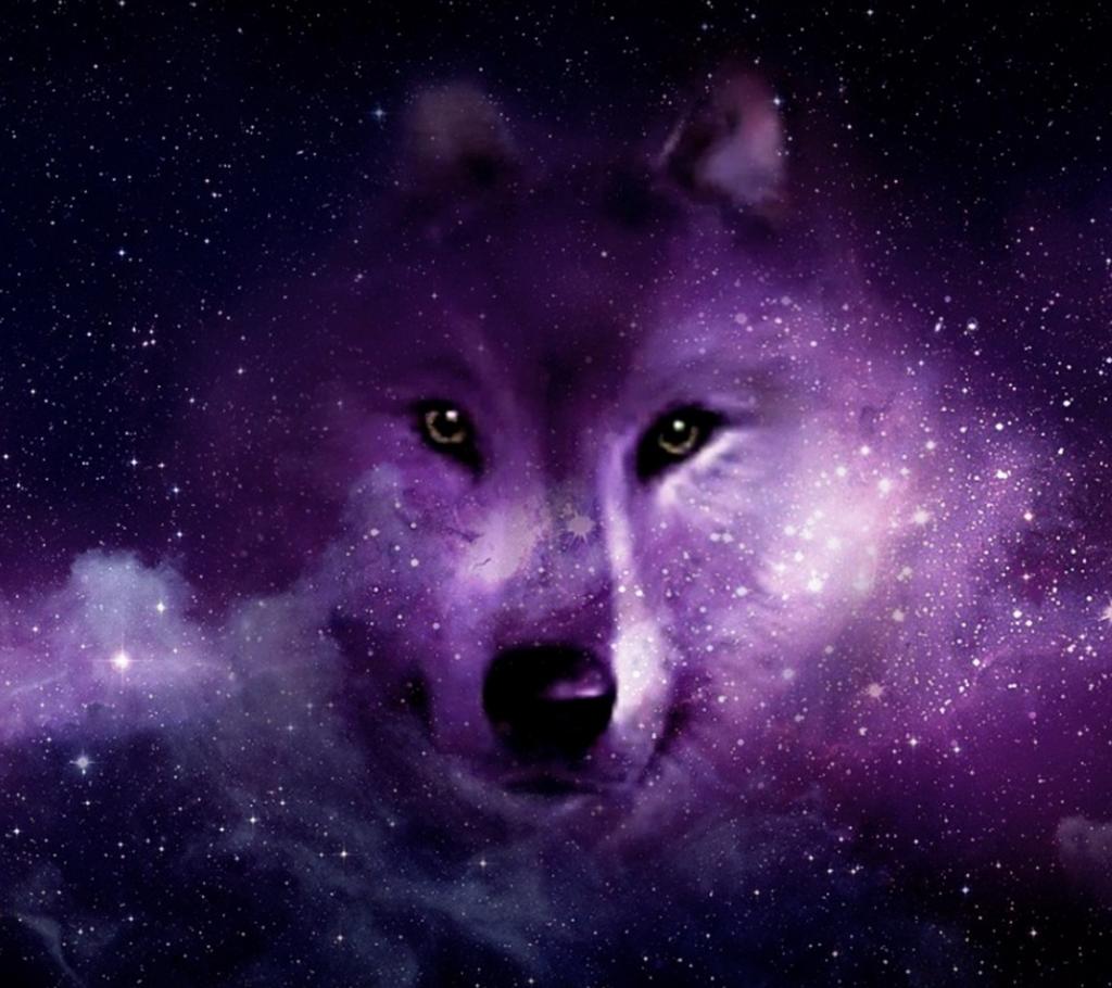 Purple Wolf Wallpapers