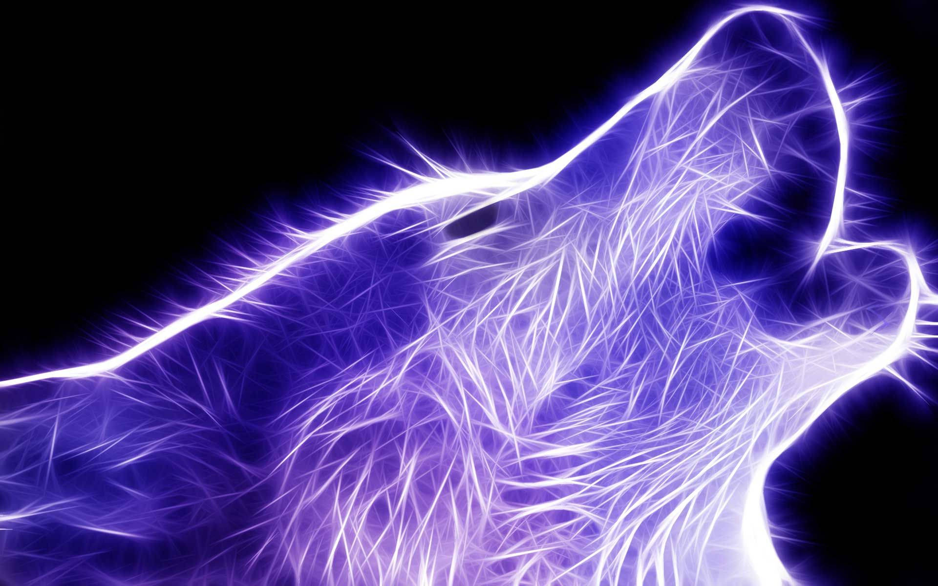 Purple Wolf Wallpapers