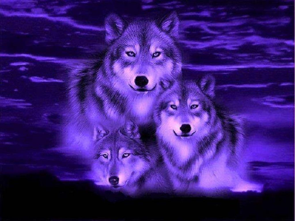 Purple Wolf Wallpapers