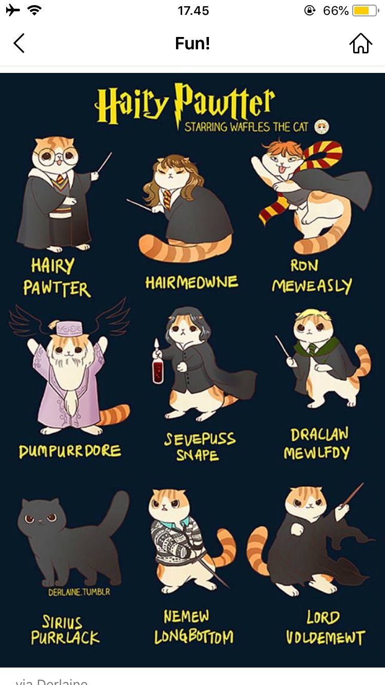 Pusheen Harry Potter Wallpapers