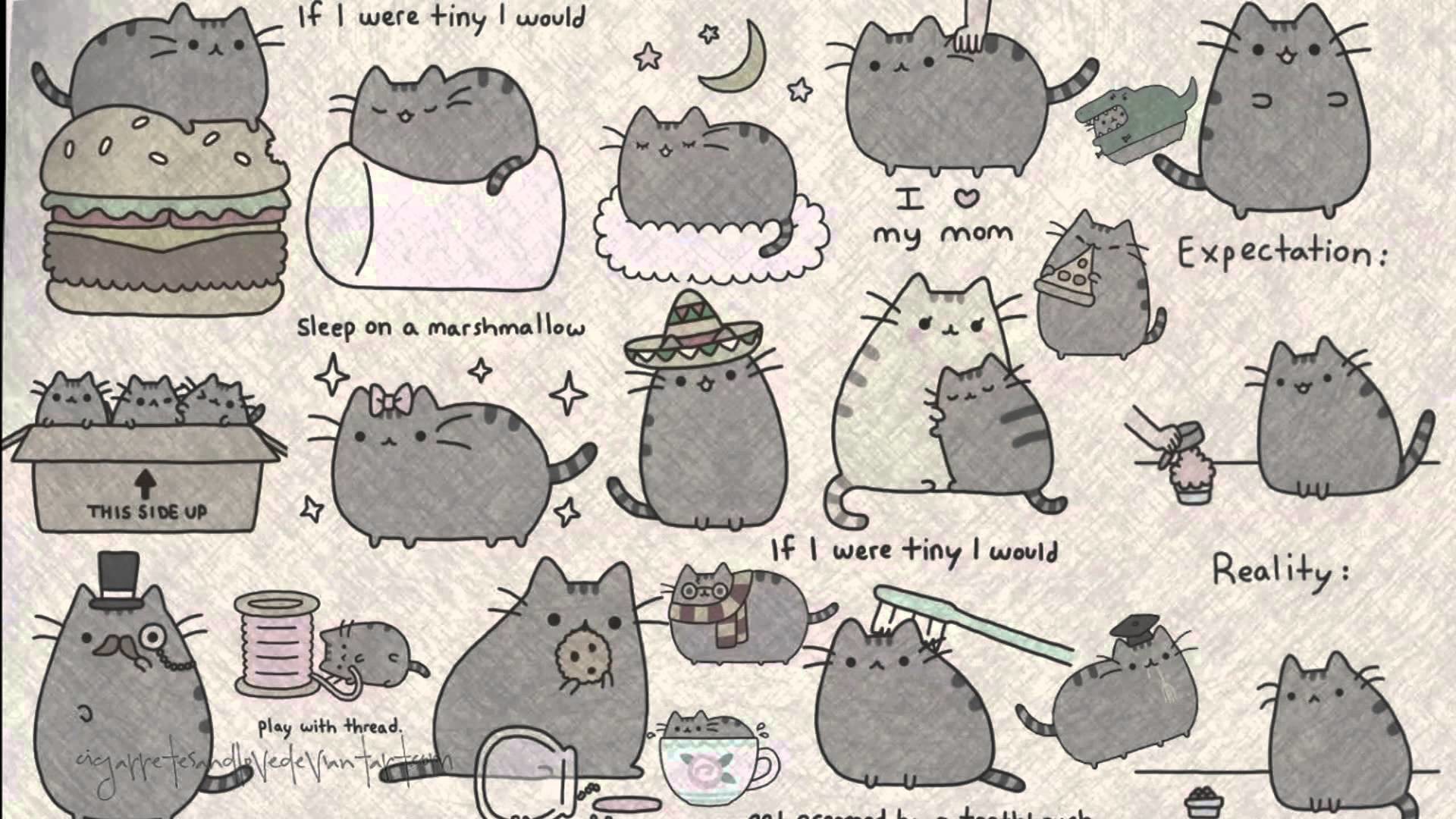 Pusheen Wallpapers