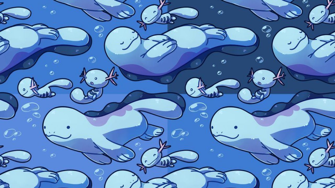 Quagsire Hd Wallpapers