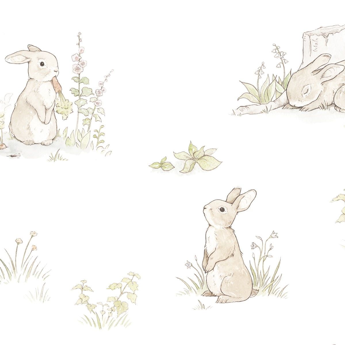 Rabbit Wallpapers