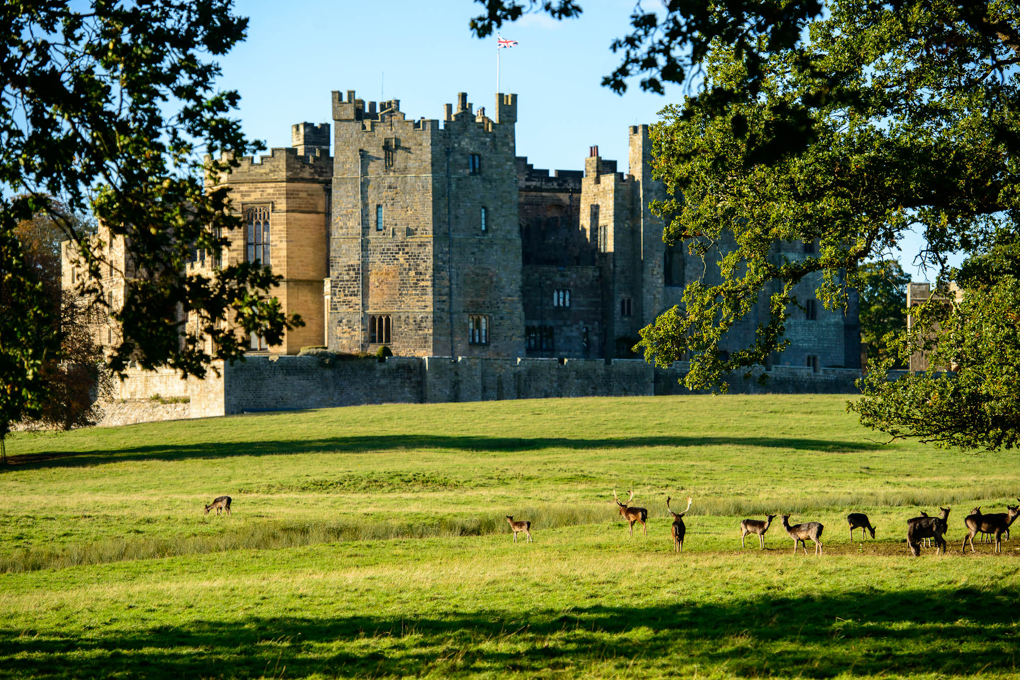 Raby Castle Wallpapers